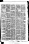 Whitchurch Herald Saturday 23 January 1875 Page 7