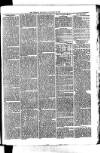Whitchurch Herald Saturday 30 January 1875 Page 3