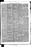 Whitchurch Herald Saturday 30 January 1875 Page 7