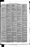 Whitchurch Herald Saturday 06 February 1875 Page 3