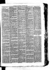 Whitchurch Herald Saturday 13 February 1875 Page 3