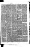 Whitchurch Herald Saturday 13 February 1875 Page 7