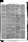 Whitchurch Herald Saturday 20 February 1875 Page 3