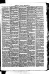 Whitchurch Herald Saturday 20 February 1875 Page 7