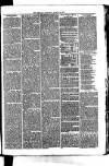 Whitchurch Herald Saturday 13 March 1875 Page 3