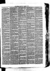 Whitchurch Herald Saturday 13 March 1875 Page 7