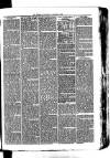 Whitchurch Herald Saturday 27 March 1875 Page 3