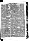 Whitchurch Herald Saturday 27 March 1875 Page 7