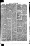 Whitchurch Herald Saturday 17 April 1875 Page 3