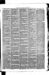 Whitchurch Herald Saturday 17 April 1875 Page 7