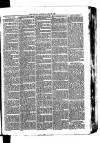 Whitchurch Herald Saturday 24 April 1875 Page 3