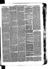 Whitchurch Herald Saturday 24 April 1875 Page 7