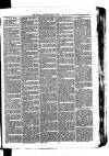 Whitchurch Herald Saturday 01 May 1875 Page 3