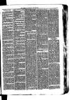 Whitchurch Herald Saturday 22 May 1875 Page 7