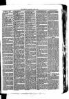 Whitchurch Herald Saturday 05 June 1875 Page 3