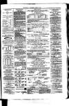 Whitchurch Herald Saturday 05 June 1875 Page 5