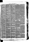 Whitchurch Herald Saturday 19 June 1875 Page 7