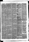 Whitchurch Herald Saturday 10 July 1875 Page 3