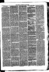 Whitchurch Herald Saturday 24 July 1875 Page 7