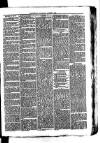 Whitchurch Herald Saturday 07 August 1875 Page 3