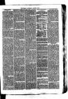 Whitchurch Herald Saturday 07 August 1875 Page 7