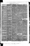 Whitchurch Herald Saturday 14 August 1875 Page 7