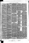 Whitchurch Herald Saturday 21 August 1875 Page 7
