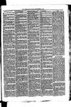 Whitchurch Herald Saturday 04 September 1875 Page 7