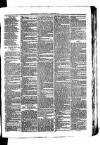 Whitchurch Herald Saturday 30 October 1875 Page 3