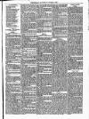Whitchurch Herald Saturday 04 January 1879 Page 7