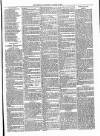 Whitchurch Herald Saturday 08 March 1879 Page 7