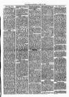 Whitchurch Herald Saturday 26 April 1879 Page 3