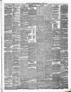 Tyrone Constitution Friday 22 August 1879 Page 3