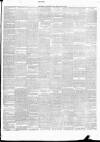 Tyrone Constitution Friday 22 March 1895 Page 3