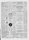 Pembrokeshire Herald Friday 10 March 1871 Page 3