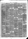 Flintshire Observer Friday 15 May 1868 Page 3