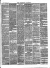 Flintshire Observer Friday 18 March 1870 Page 3