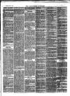 Flintshire Observer Friday 07 May 1880 Page 3