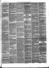 Flintshire Observer Friday 09 July 1880 Page 3