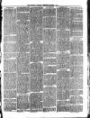 Flintshire Observer Thursday 08 November 1894 Page 3