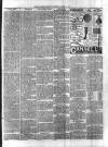 Flintshire Observer Thursday 13 April 1899 Page 7