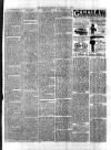 Flintshire Observer Thursday 01 June 1899 Page 7