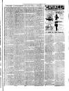 Flintshire Observer Thursday 08 February 1900 Page 7