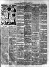 Flintshire Observer Thursday 21 September 1905 Page 7