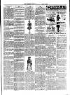 Flintshire Observer Thursday 02 January 1908 Page 3