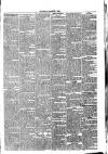 Wisbech Chronicle, General Advertiser and Lynn News Saturday 06 October 1860 Page 3