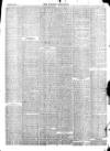 Wisbech Chronicle, General Advertiser and Lynn News Saturday 17 January 1874 Page 3