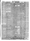 Wisbech Chronicle, General Advertiser and Lynn News Saturday 21 March 1874 Page 3