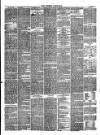 Wisbech Chronicle, General Advertiser and Lynn News Wednesday 03 June 1874 Page 4