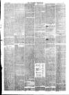 Wisbech Chronicle, General Advertiser and Lynn News Saturday 04 July 1874 Page 5